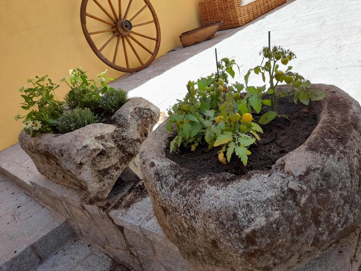 Casa Rural Del Tio Maino Becerril de la Sierra Buitenkant foto